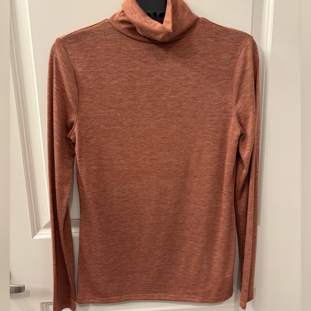 Rust Long Sleeve Turtleneck Top